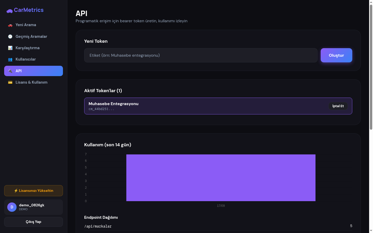 API portalı, kullanım grafiği ve token yönetimi